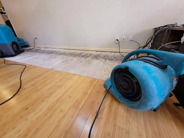 Professional Basement Flood Cleanup technician working in Purdon, TX